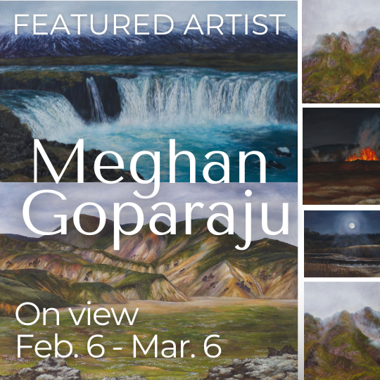 FEB 2025 / Featured Artist: Meghan Goparaju